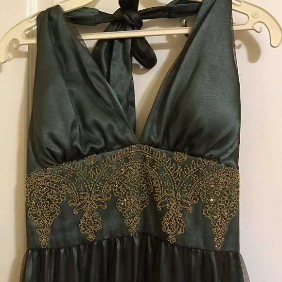 Adrianna Papell | Beaded Gold Green Tulle Dress - Picture 5 of 13